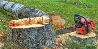 Best Commercial Tree Services  in West Liberty, KY
