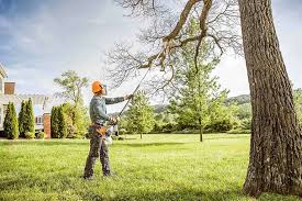 Best Landscape Design and Installation  in West Liberty, KY