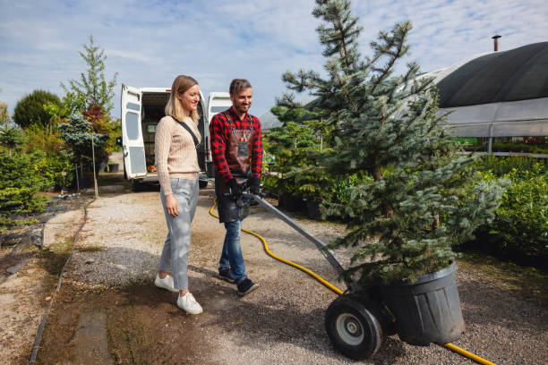 Best Tree Cabling and Bracing  in West Liberty, KY